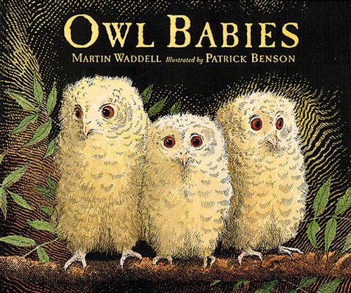 owl_babies