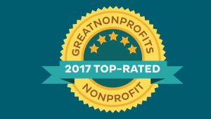 great nonprofits